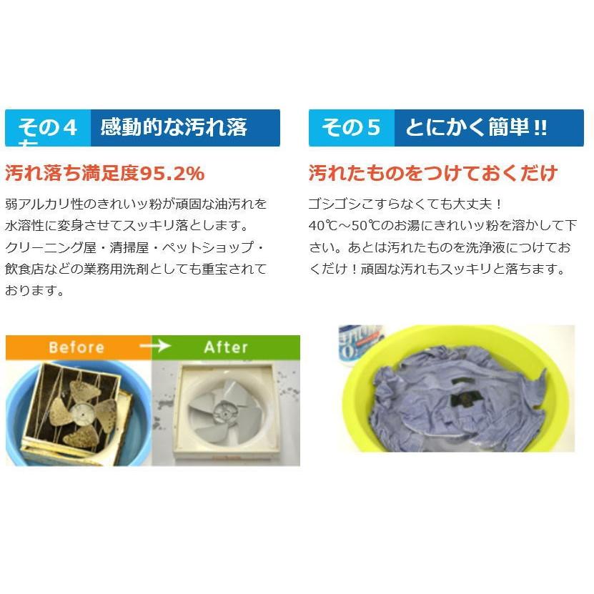 きれいッ粉 日本製 過炭酸ナトリウム洗浄剤 洗剤 漂白剤 お徳用 