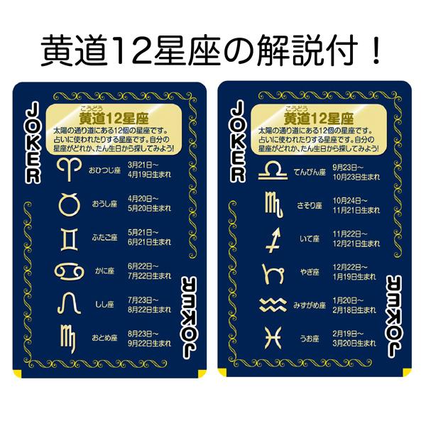 星座トランプ アーテック 7497 | アーテック | 03