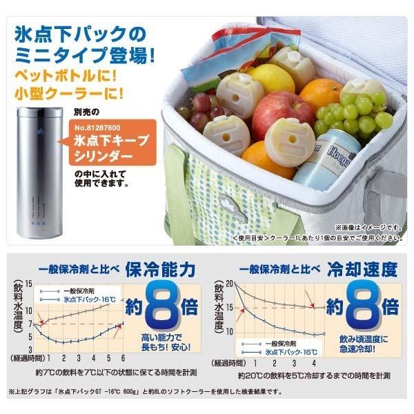 LOGOS（ロゴス） 保冷剤 氷点下パックGT-16℃・コンパクト (2pcs) 2袋 4