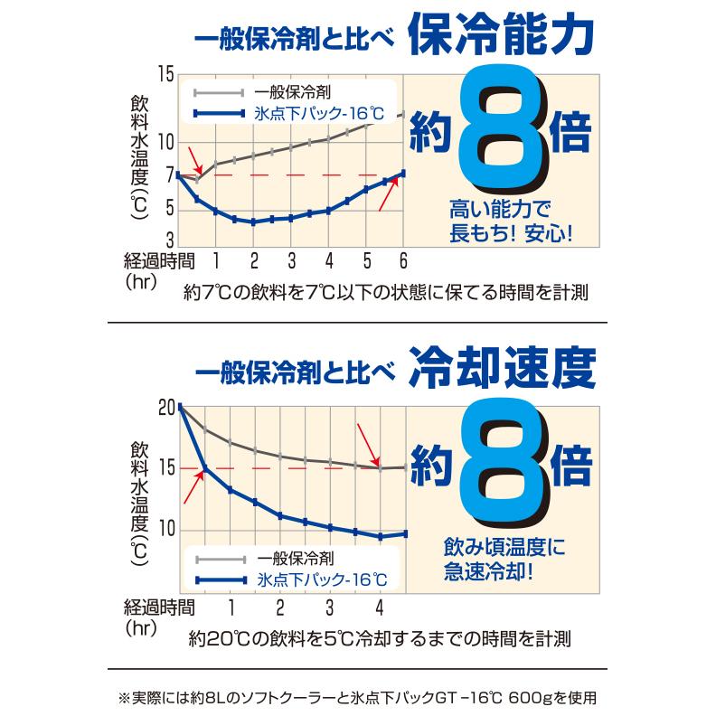 ロゴス 氷点下パックGT-16℃・ハード900g 送料無料|oupace|02