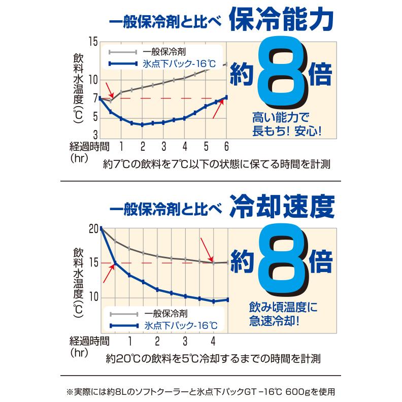 ロゴス 氷点下パックGT-16℃・ハード900g｜oupace｜02