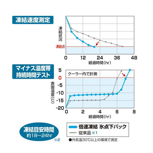 LOGOS ロゴス 倍速凍結 氷点下パック コンパクト (2pcs) 抗菌仕様 キャンプ アウトドア 釣り 保冷剤 81660639｜oupace｜03