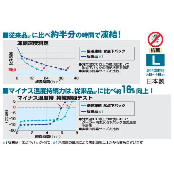 LOGOS ロゴス 倍速凍結 氷点下パックL 81660641 保冷剤｜oupace｜02