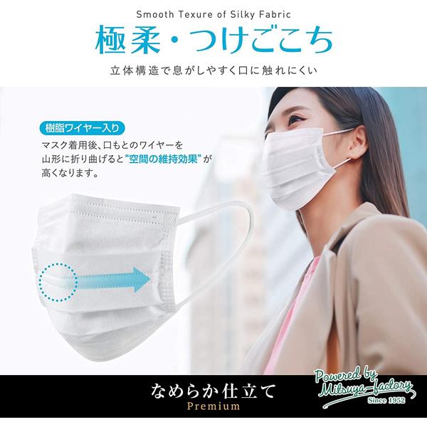 5箱セット Premium 立体不織布マスク ふつうサイズ 300枚 ダブル