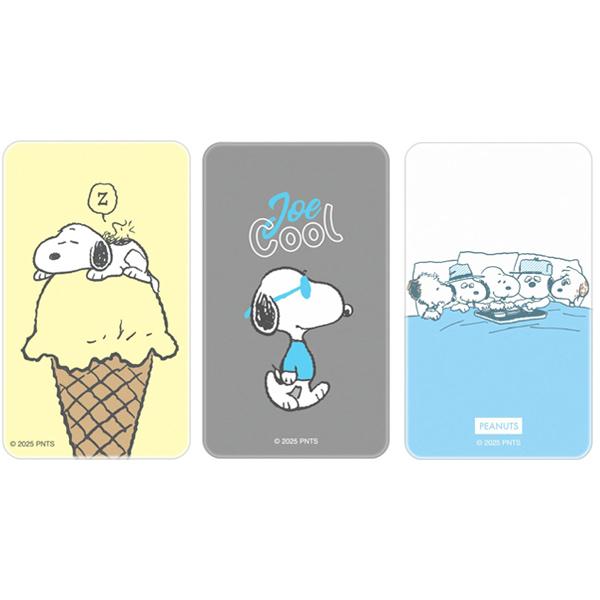 gourmandise ピーナッツ SNOOPY スマ冷え Premium スヌーピー アイス