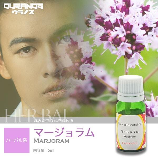 【5ml】エッセンシャルオイル（マージョラム） マジョラム アロマオイル 精油 シングルオイル ハーブ系 ハーバル系｜ouranos