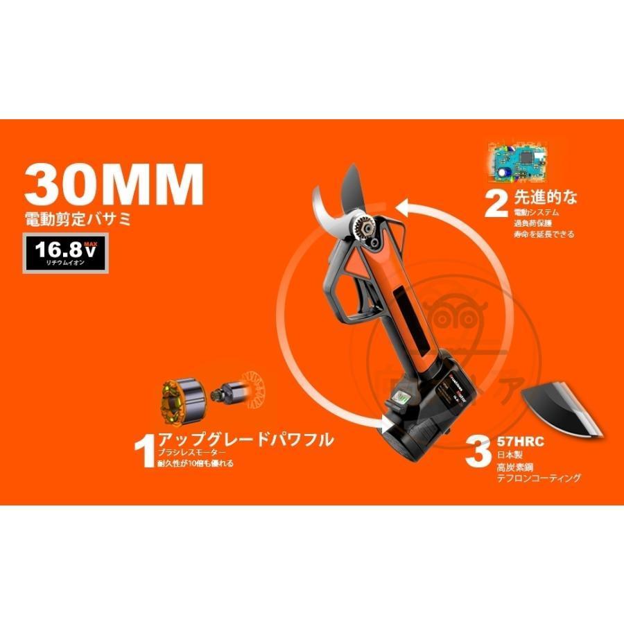 電動剪定バサミ テフロン非粘着性コーディング刃 16.8V コードレス 充電式剪定ばさみ 軽さ・スピード・切れ味の頂点機種 電動枝切り鋏 持ち運び便利 プロ剪定鋏 