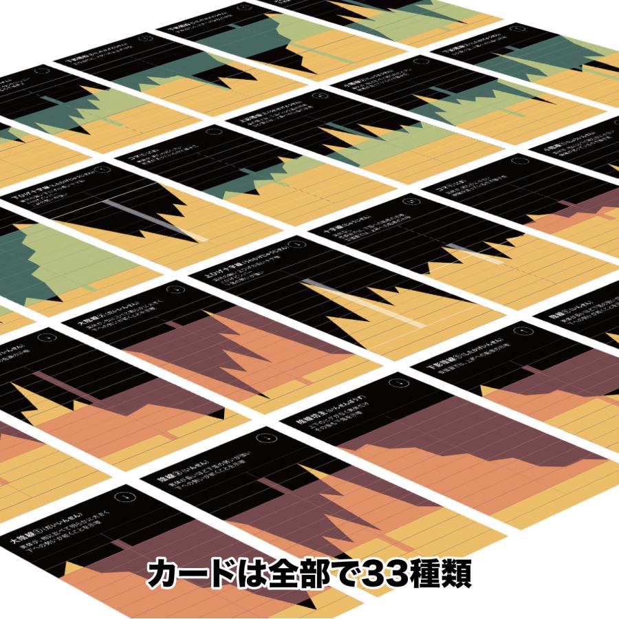バイナリーカード（ローソク足カード）33枚 解説書付 バイナリーオプション ハイローオーストラリア テクニカル分析 |  | 01