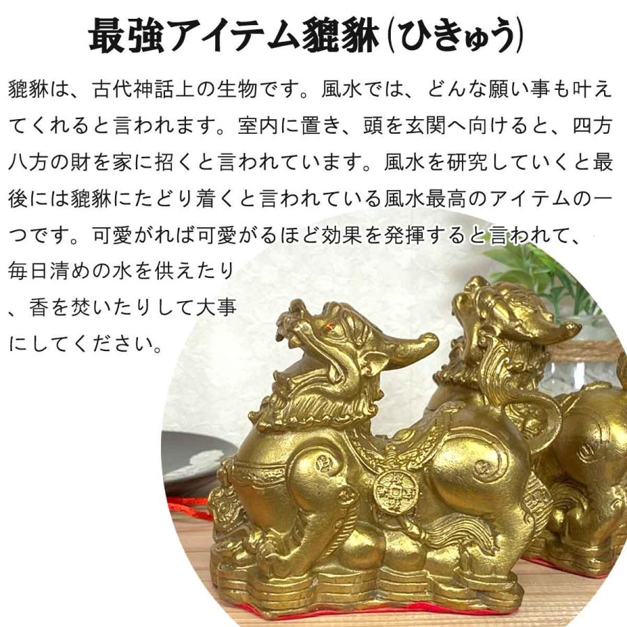 ヒキュウ 2体セット 小サイズ 銅 貔貅 ひきゅう 雌雄 風水 置物 ヒキュウ 2体セット 小サイズ 銅 貔貅 ひきゅう 雌雄 風水 置物