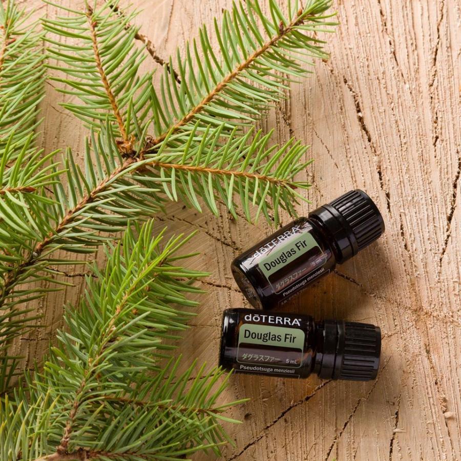 ドテラ Doterra ダグラスファー Dougoas Fir 5ml アロマオイル ウッド系 ウッディ 森林浴 天然成分 エッセンシャルオイル Do Outfit 通販 Yahoo ショッピング