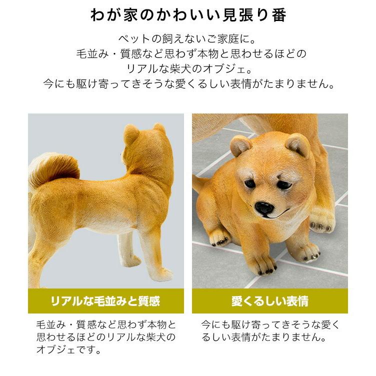 ガーデン 玄関 インテリア 犬 いぬ 置物 柴犬 「豆柴」 豆しば ガーデン 玄関 インテリア 犬 いぬ 置物 柴犬 「豆柴」 豆しば