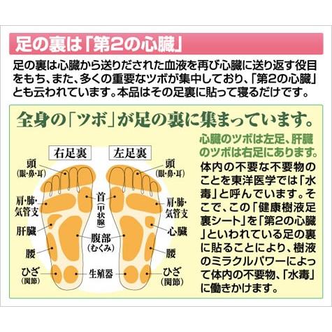 足裏シート 樹液 足うらシート 樹液シート お徳用30セット入り 足裏シート30枚 粘着シート30枚 日本製 10大ミラクルパワー配合 新 健康樹液 足裏シート30枚 Ts アウトレットファニチャー 通販 Yahoo ショッピング