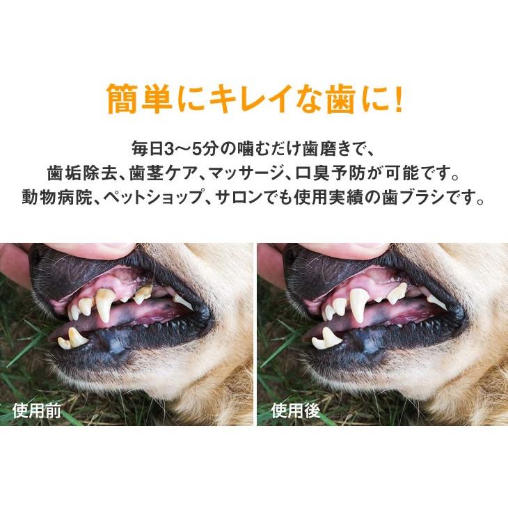犬用歯ブラシ 犬 歯磨き 歯みがき デンタルケア おもちゃ Mサイズ 中型犬用 2個組 送料無料 代金引換不可 アウトレットファニチャー 通販 Yahoo ショッピング