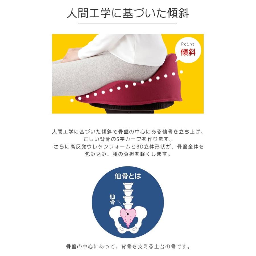 アルファックス 猫背矯正サポート 仙骨 クッション 仙律 座布団 姿勢