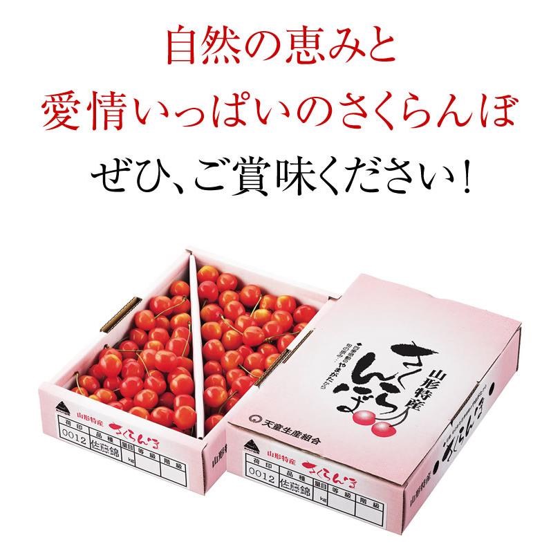 さくらんぼ 佐藤錦 訳あり お徳用 1kg サクランボ フルーツ 果物 山形｜outlet-f｜07