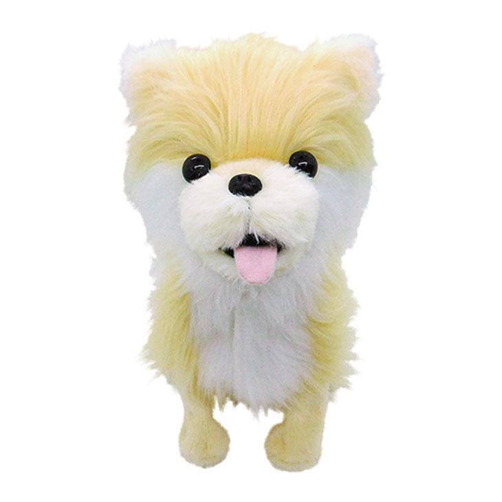 ココドル　踊るペット犬　ポメラニアン Amazon | 希少 レア ポメラニアン ココドル 踊るペット犬 喋って