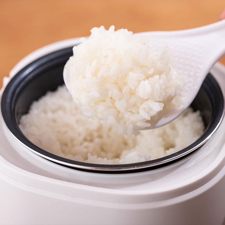 アルコレ 炊飯器 多機能 ミニライスクッカー 2合炊き コンパクト
