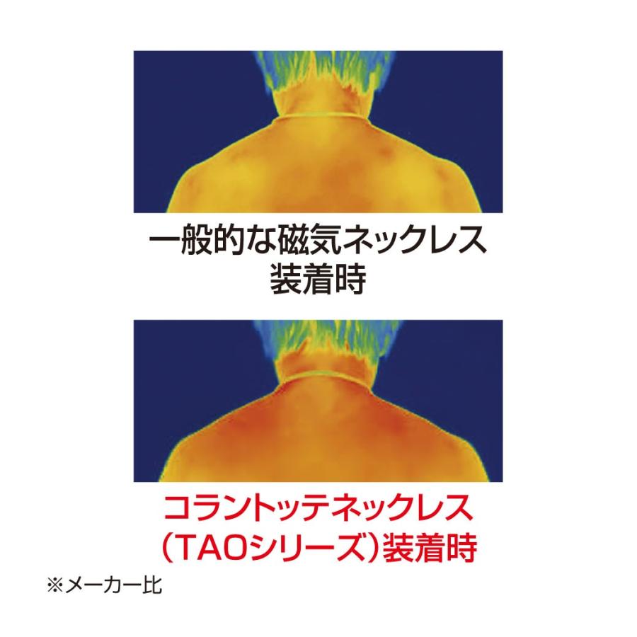 ColanTotte（コラントッテ） 磁気ネックレス ネックレス 日本製 ALT