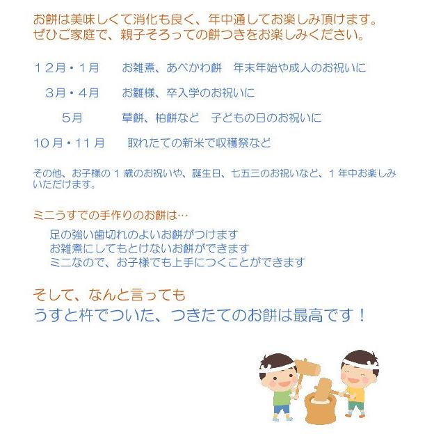 みかげ石 もち臼 1升用 ミニ杵2本セット のし板付き【実演DVD・説明書