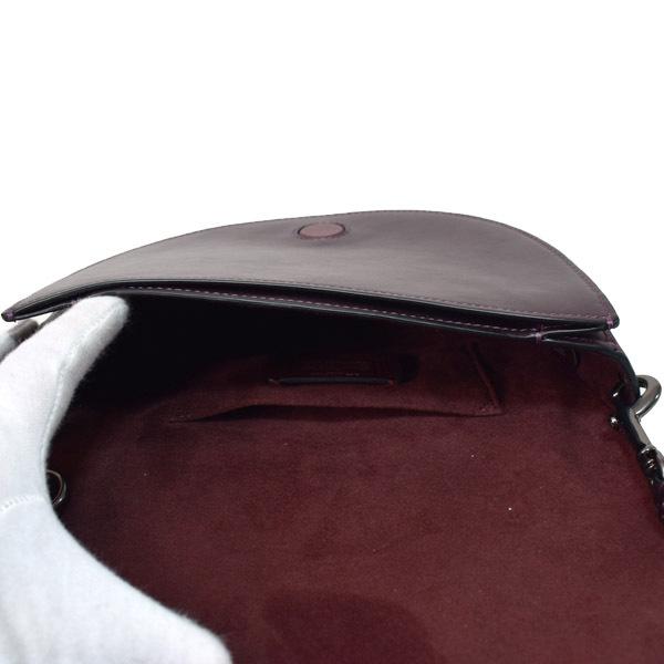 COACH（コーチ） バッグ メタリックナッパレザー メタリックスムース