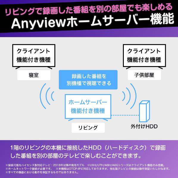 ハイセンス 55E6K 新品未開封 ハイセンス（HISENSE） 【アウトレット商品】ハイセンステレビ55V型