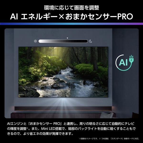 ハイセンス（HISENSE） 【アウトレット商品】ハイセンステレビ 65V型
