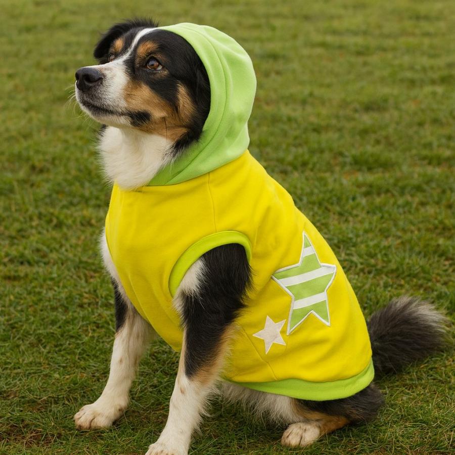 犬服 パーカー 無地 星柄 ワッペン イエロー DLサイズ 中型犬 送料250