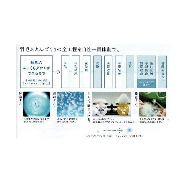 羽毛掛けふとん キング 東京西川 西川ダウン 日本製 とぎれない信頼自社一貫体制の東京西川だけの品質 NP7053 KA47289014 230×210ｃｍの画像
