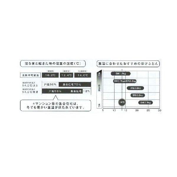 羽毛掛けふとん キング 東京西川 西川ダウン 日本製 とぎれない信頼自社一貫体制の東京西川だけの品質 NP7053 KA47289014 230×210ｃｍの画像