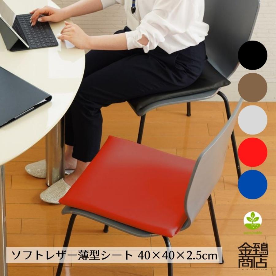 座布団　赤　10枚組　まとめ売り 座布団カバー 50×50cm 小座布団 日本製 綿100％ 紬（つむぎ