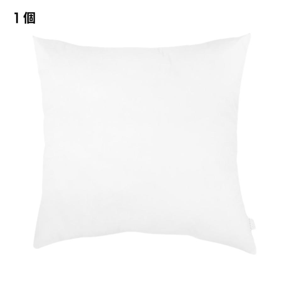 金鵄（きんし） ヌードクッション クッション中身 大きい 60×60 日本製