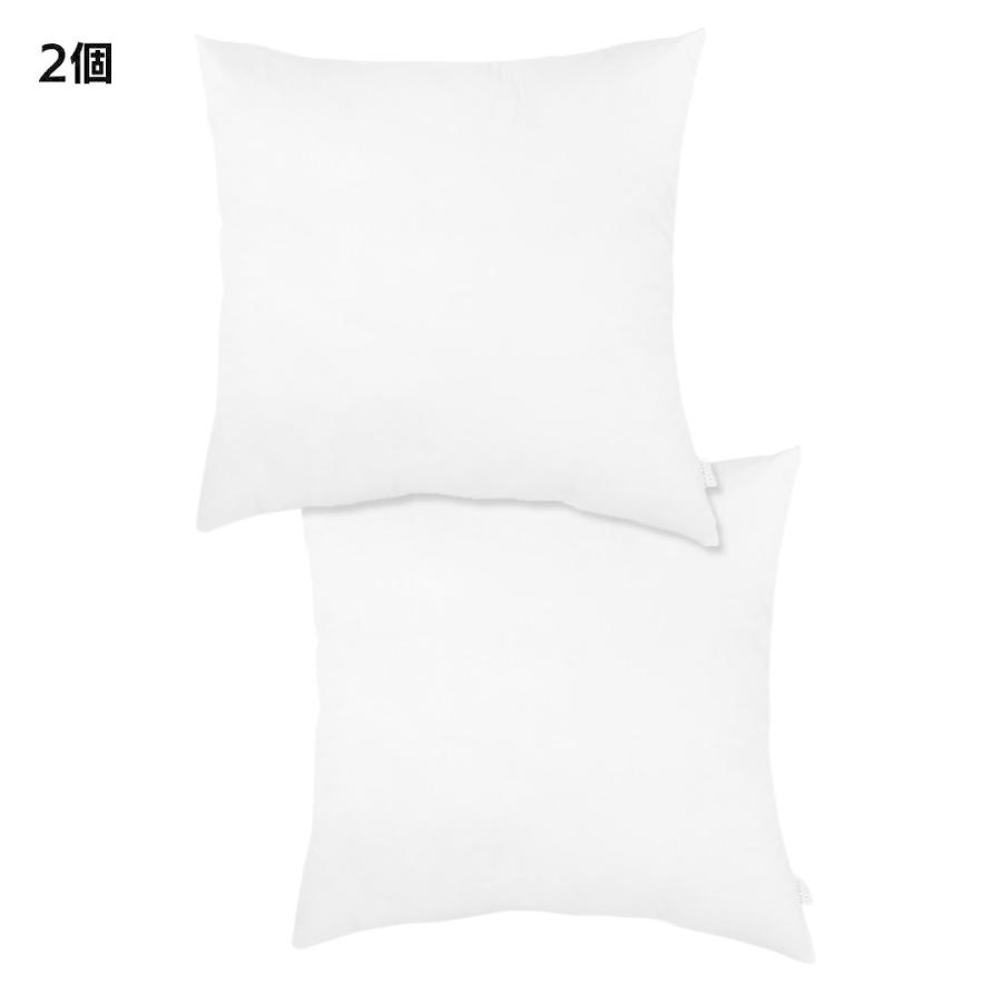 金鵄（きんし） ヌードクッション クッション中身 大きめ 60×60