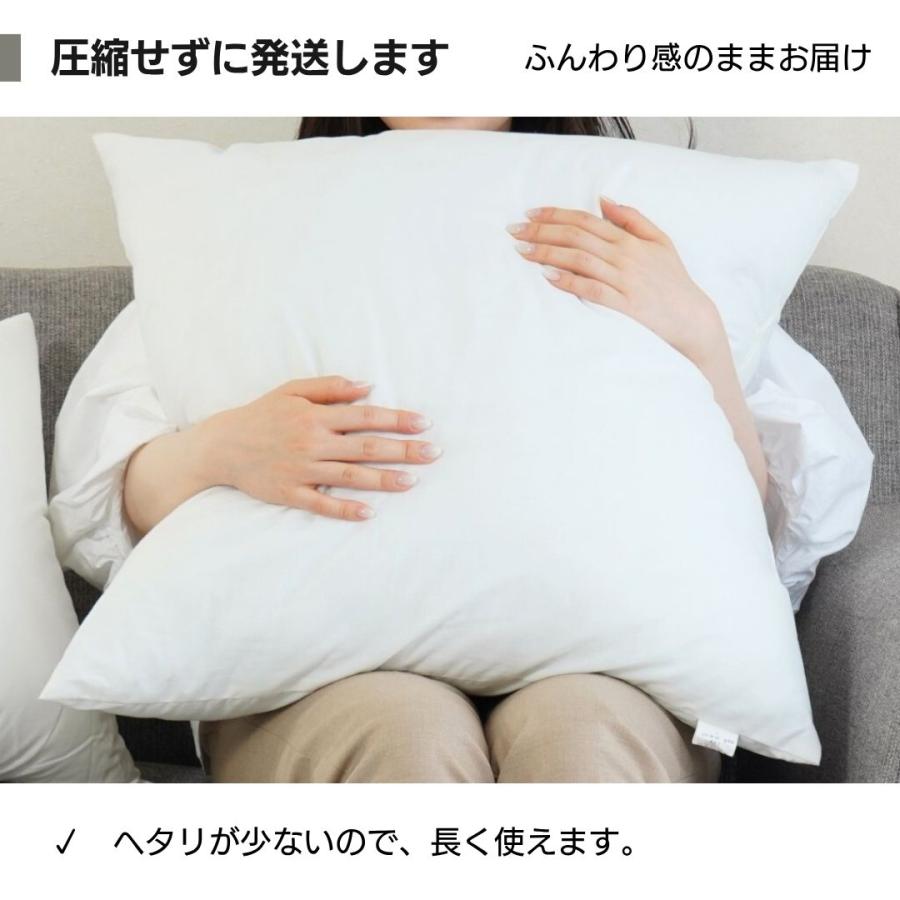 金鵄（きんし） ヌードクッション 60×60 大きめ クッション中身