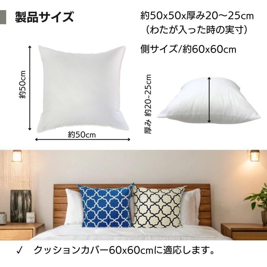金鵄（きんし） ヌードクッション 60×60 大きめ クッション中身