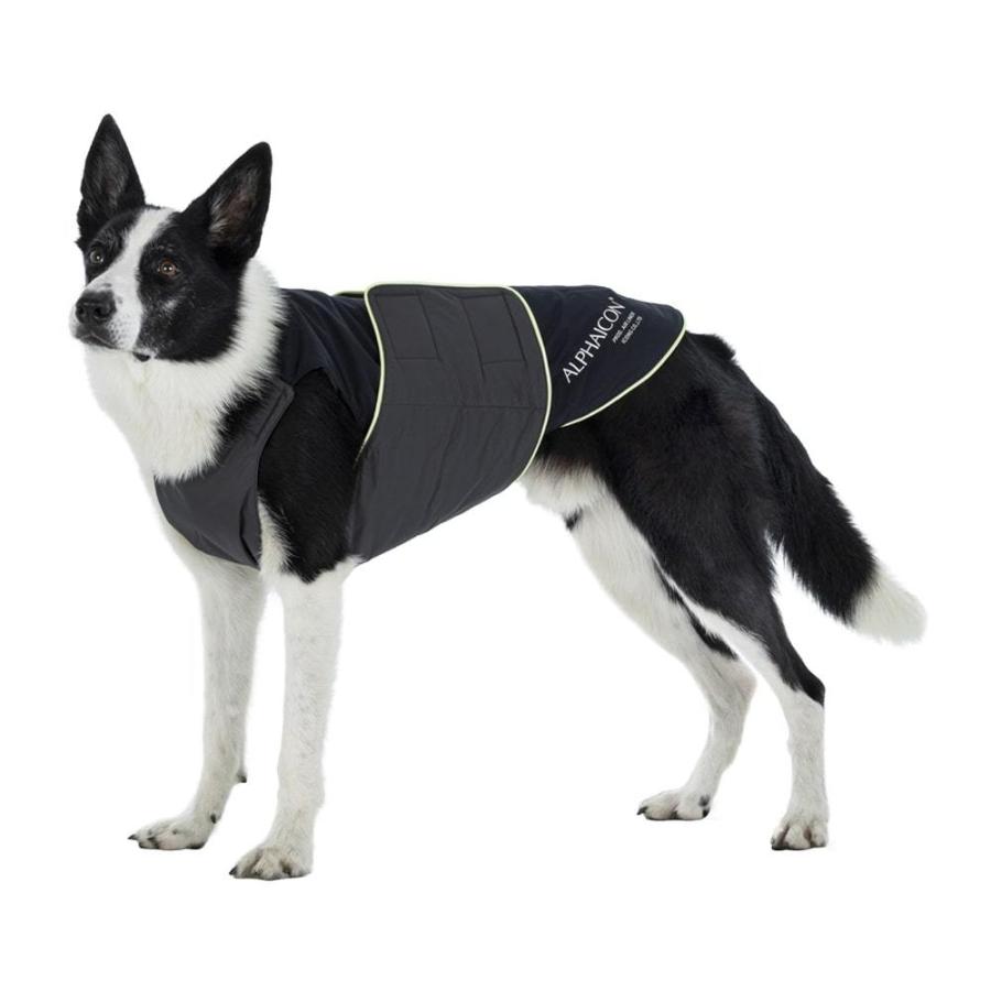 アルファアイコン 2021年モデル エアライナー XLサイズ ALPHAICON AirLiner XL / 撥水 防風性 アウトドア キャンプ 犬服 :ALP322:Out Tail Dog Outdoor Gear - 通販 - Yahoo!ショッピング アルファアイコン 2021年モデル エアライナー XLサイズ ALPHAICON AirLiner XL / 撥水 防風性 アウトドア キャンプ 犬服 :ALP322:Out Tail Dog Outdoor Gear - 通販 - Yahoo!ショッピング