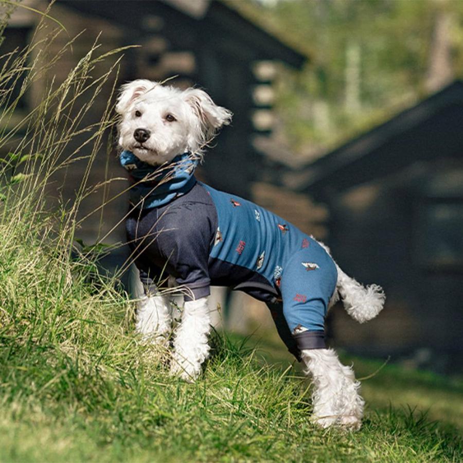 ALPHAICON 2023年モデル 1Lサイズ ドッグガードクール アルファアイコン Dog Guard Cool 1L ALP513