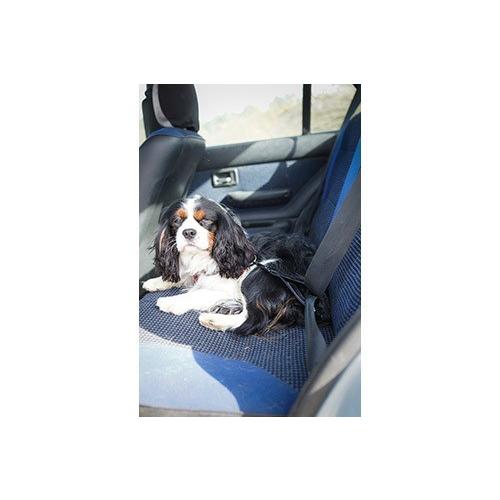 EzyDogカーシートアタッチメント 愛犬と出かけよう！ |  | 01