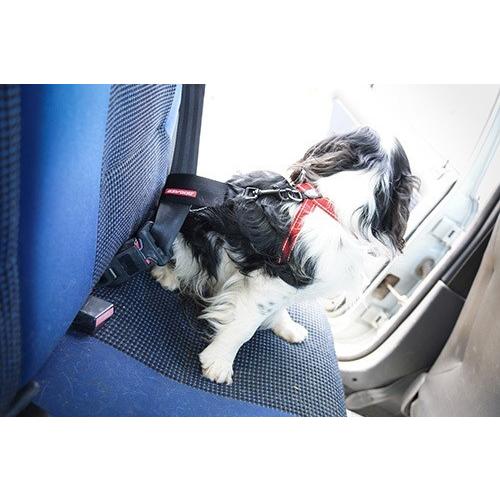EzyDogカーシートアタッチメント 愛犬と出かけよう！ |  | 02
