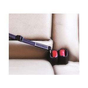 EzyDogクリック 愛犬と出かけよう！ |  | 02