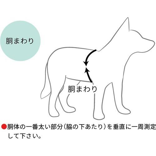 EzyDogドライブハーネス Sサイズ 愛犬と出かけよう！ |  | 06