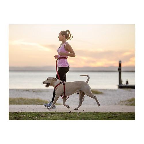 イージードッグ ロードランナー EZYDOG ROAD RUNNER LEASH / リード たすき掛け ハンズフリー お散歩が楽 キャンプ アウトドア |  | 05