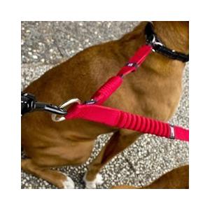 ゼロショックエクステンションダブル 多頭飼いの方へ！ |  | 01