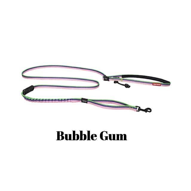 イージードッグ ロードランナーライト EZYDOG ROAD RUNNER LITE LEASH / リード 小型犬 散歩 キャンプ ショック 吸収 |  | 06