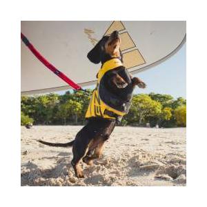 EzyDog フローティングジャケット Lサイズ DFDブースト DFD X2 BOOST イージードッグ（ライフジャケット） 愛犬と水遊びをしよう！Ｌサイズ |  | 06