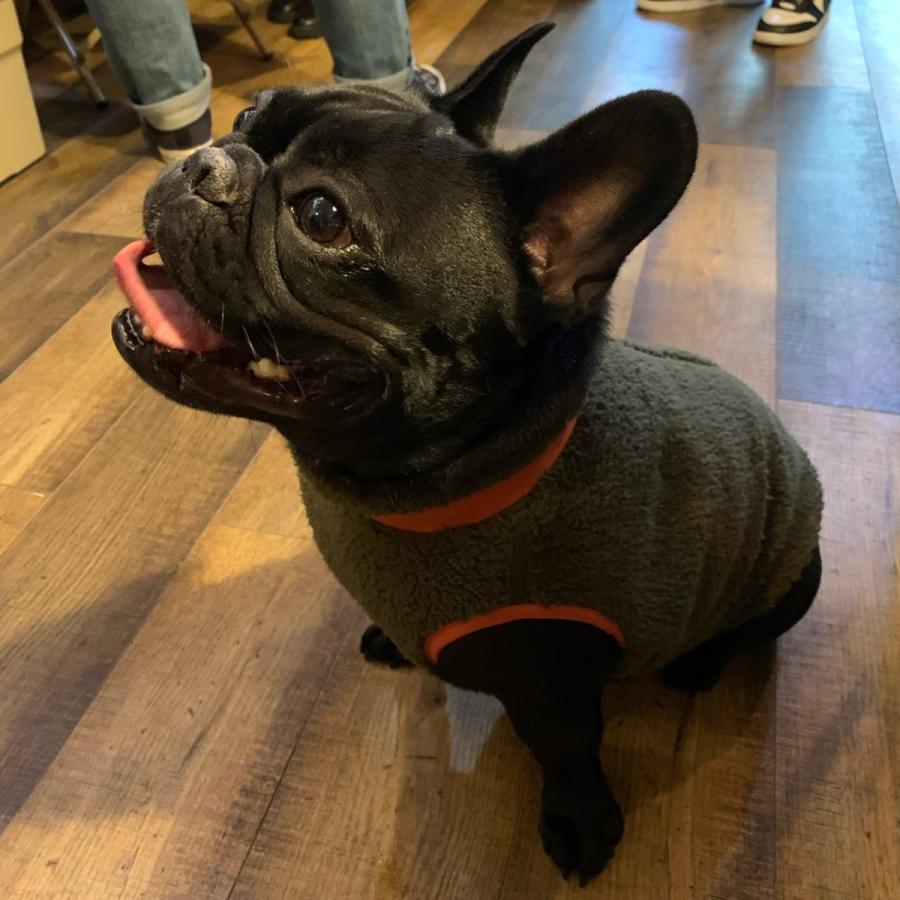 ジャクソンマティスペット ボアベスト JACKSON MATISSE PETS BOA VEST / フレブル専用 犬服 古着風 日本製 |  | 11