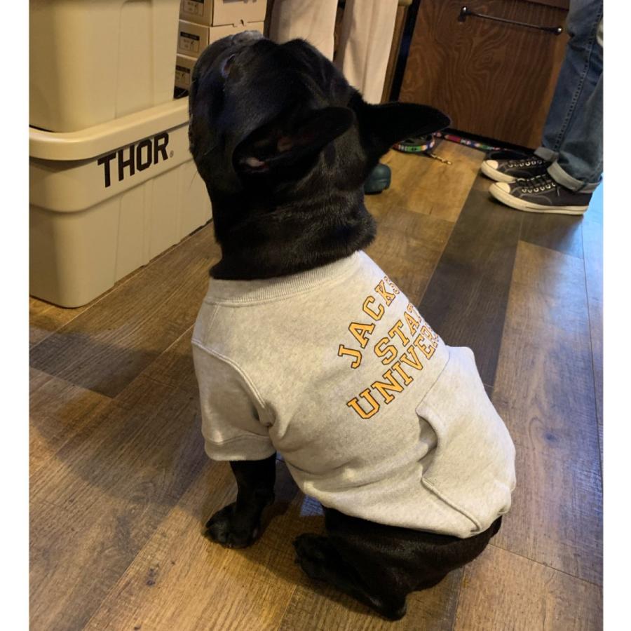 ジャクソンマティスペット ジャクソンステイツユニバーシティスウェット JACKSON MATISSE PETS JACKSON STATE UNIVERCITY Sweat / フレブル専用 |  | 11