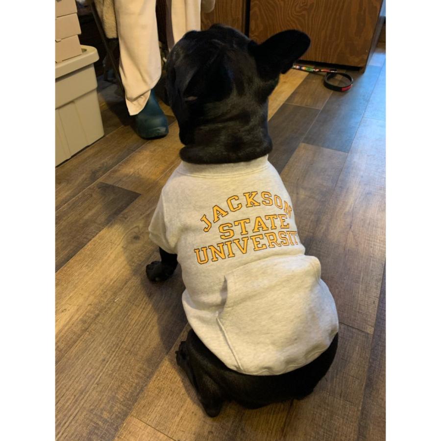 ジャクソンマティスペット ジャクソンステイツユニバーシティスウェット JACKSON MATISSE PETS JACKSON STATE UNIVERCITY Sweat / フレブル専用 |  | 12