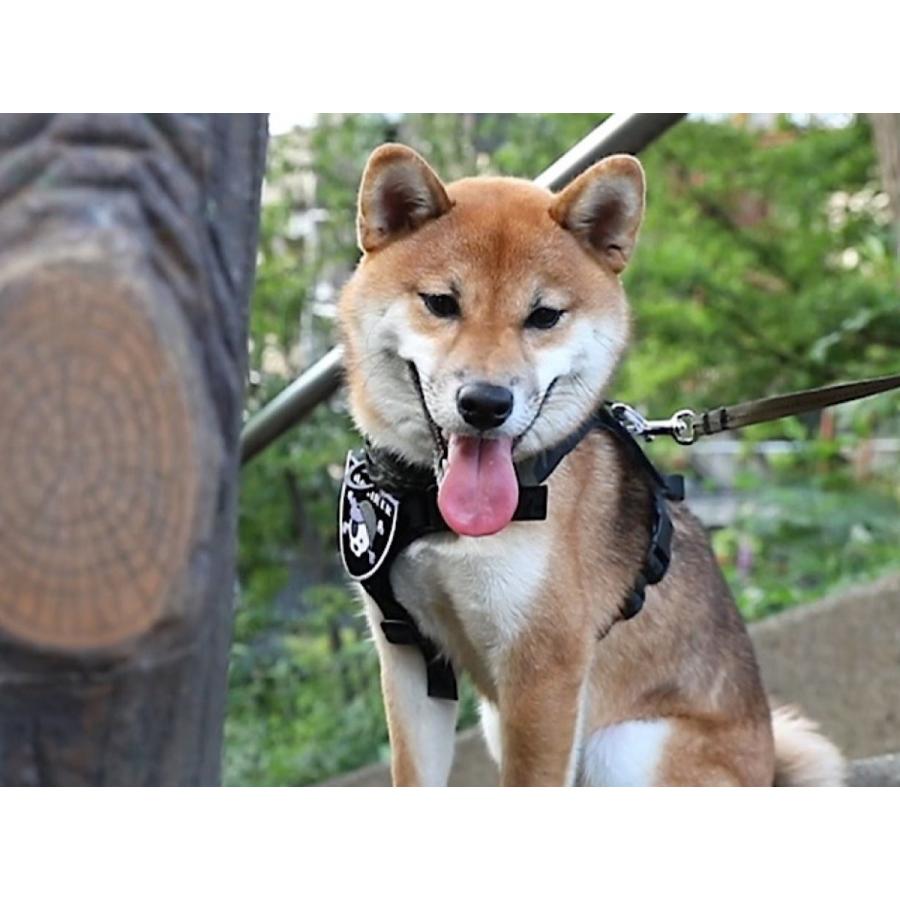 KILONINER M1 ハーネス M1 Light Speed Harness – 買えるLEON