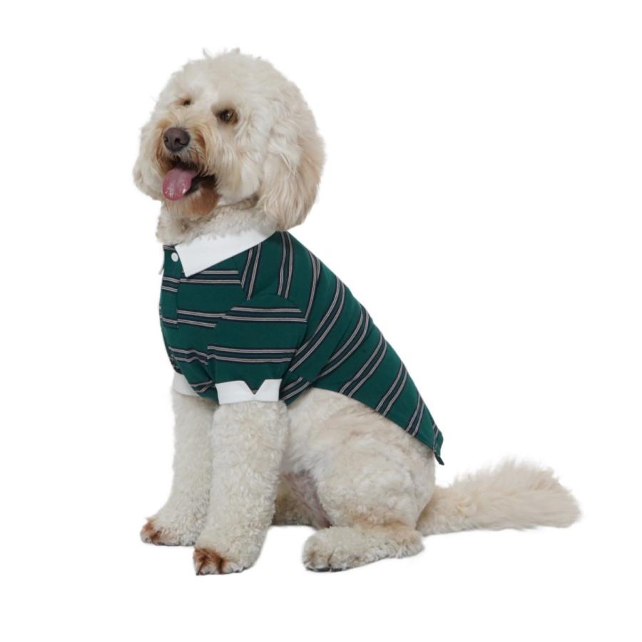 マンダリンブラザーズ ラガーシャツ XLサイズ〜3Lサイズ MANDARINE BROTHERS　RUGGER SHIRT / 犬服 ドッグウェア ボーダーシャツ 中型犬 | MANDARINE BROTHERS | 03