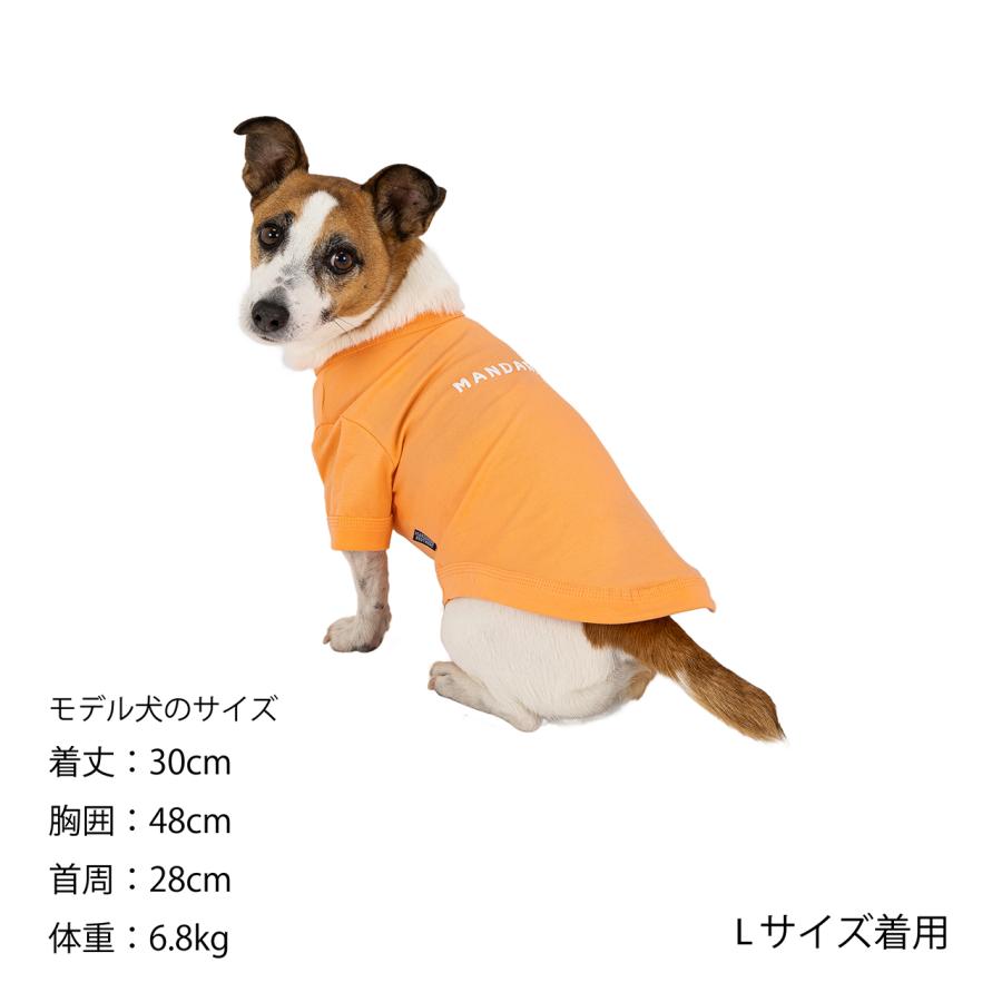 マンダリンブラザーズ クールカクテルTシャツ Mサイズ〜Lサイズ マンダリンブラザーズ クールカクテルTシャツ Mサイズ〜Lサイズ